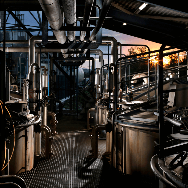 Visite de la distillerie