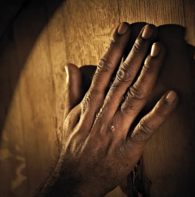 D�gustation Gamme Permanente Savanna